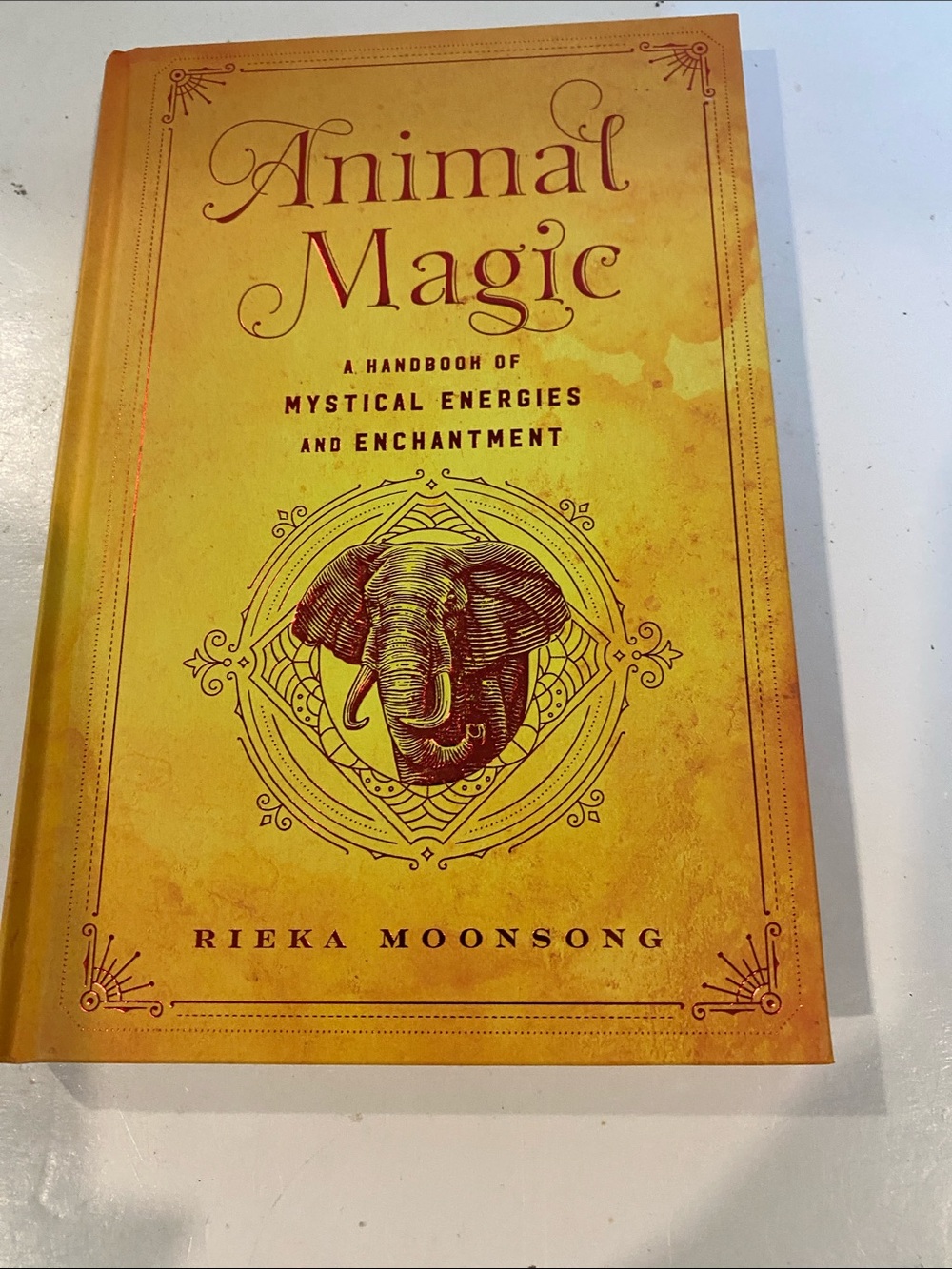 NWT “Animal Magic,”